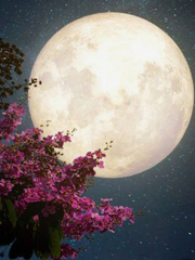 SBS 드라마 인생은 아름다워 모음