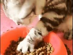 다시 태어난다면? 10