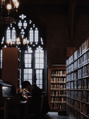 Hermione Granger x Vivian Beliar