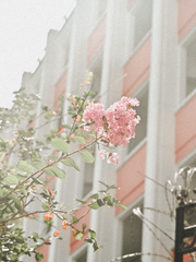 화양연화로 돌아가긴 했는데