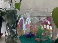 붓기 조지고 미소녀되기 (얼굴 작아지는법, 마사지법,추천템,팁)