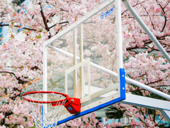 더 퍼스트 슬램덩크 관람기록 (개인기록용, ING)