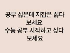 무난하게 수능치고 무난한 대학 가는 법