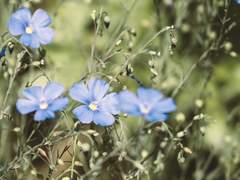 햄, 그럼 저는 용사인가요?