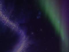 도둑은 이름을 부를 수 없었다