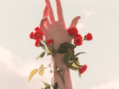 [대본] 경쟁의 역사