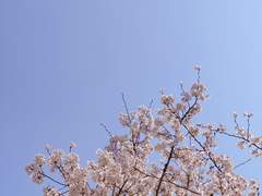 일상 및 잡담 (+ 멤버십 질문)