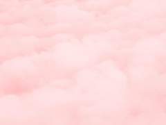 이 스케치북에 모든 걸 쏟아부어서,