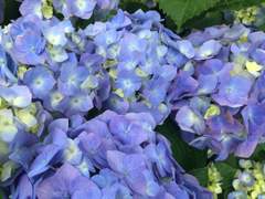 [최동오 드림] 연문(戀文)_외전 : 결구(結句)