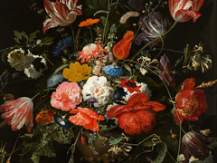 [번외] Dreams come true