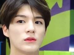 미스터 태권샤인 +++