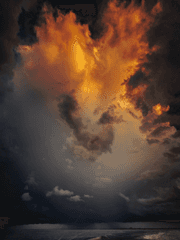 마음만은 그대에게