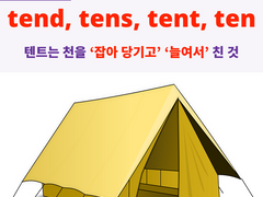 tend, tens, tent, ten