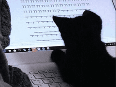 카-톡 4 (240101up)