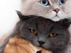 [짐른/삼각] 여자가 되었다 5