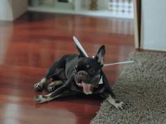 이 밀크티가 네 것이냐