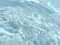 홈스테이 커미션 공지 사항