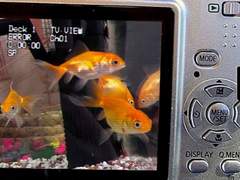 [NCT] 비디오 되감기 대작전