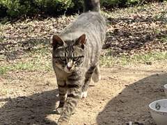 강의실 뒷자리에서 보는 그녀