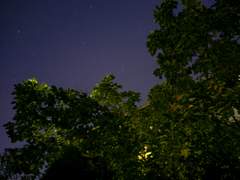 이런 사진을 찍습니다.