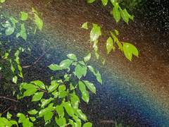 [KLLO] 무지개의 끝