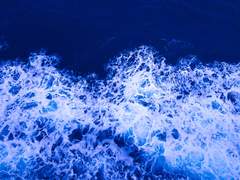 幻想: 어느 유령의 백일몽