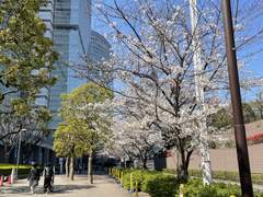 아니 인간적으로 첫날은 데리러 와야 하는 거 아님?