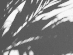 Prologue: 의문의 편지