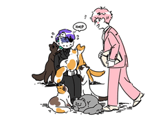 많은 일들이 있었다.