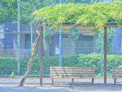 햇살같은 나의 선생님 03