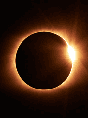 [원신] 기억이란 어떤 것인가