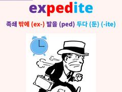 expedition (expedite)