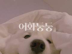 [강민우현] 어화둥둥