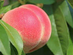 ::두근두근Hart의고등학교:: 제6화