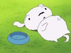 산왕 밥먹이기...(썰 백업)