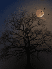 [데못죽] 공포 시리즈