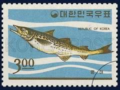 [명헌태섭] 찾았다