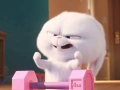 산독기 되는 법