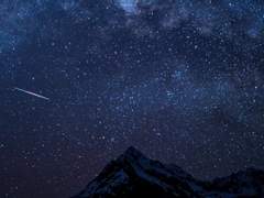 거짓말과 비밀, 그리고…