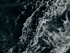 기억 필름 되감기