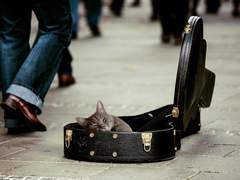 답없는 인턴들 TALK