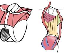 2023년 4월 1일 (토) <해부학>