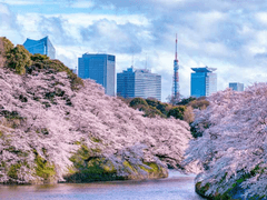 回歸線(회귀선). 28