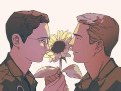 선플라워 베이비