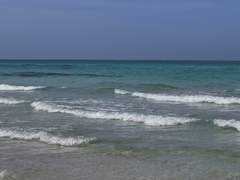 그렇게라도 웃어 보이는 건