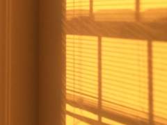 대협대만 | 성장통