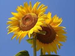 위험한 연애를 시작해 버렸어요..! 04