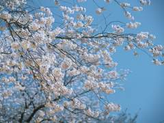 [태웅대만] Honey Moon 1.