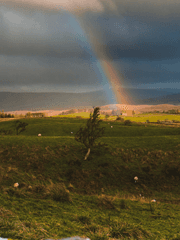 자연에서 얻은 보물