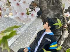 [잡설] 난 자랑을 해야겠어!